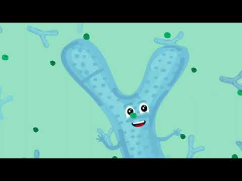 Transform ProBiotic 2